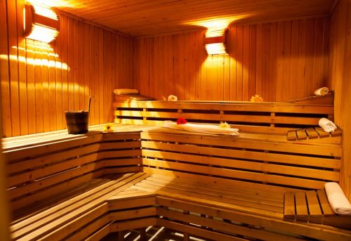 sauna-1-875x60068542832